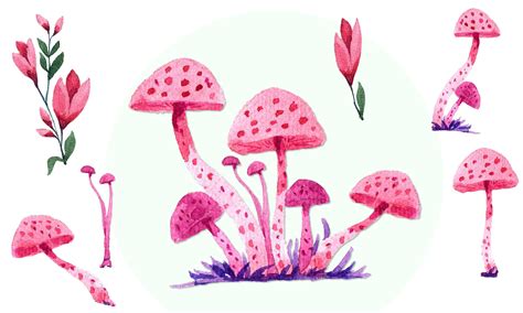 Mushroom Watercolor Graphic By Tirthoanjolo · Creative Fabrica