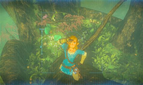 149 Best Great Deku Tree Images On Pholder Zelda Breath Of The Wild