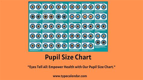Free Printable Pupil Size Charts Pdf And Actual Size Mm Scale