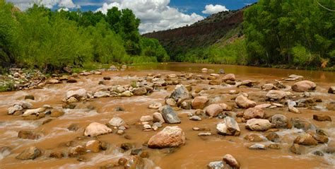 Restoring The Verde River A Story About Second Chances Part 3