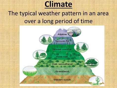 Ppt Biogeography The Study Of Where Organisms Live Powerpoint