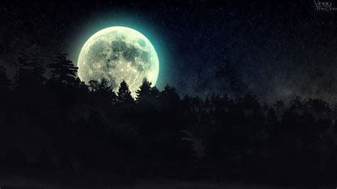 Download Full Moon Dark Forest Wallpaper
