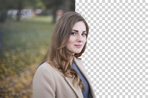 How to Remove Background from Photo for Free - Weblogue