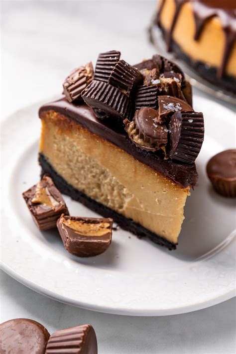 chocolate covered peanut butter cheesecake baker  nature