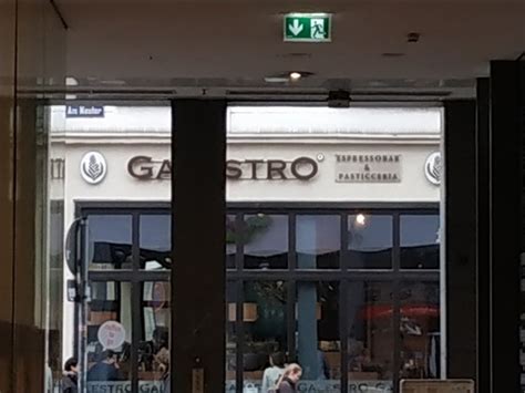 ⁇ why not both meme. Gastro Memes | Humourew