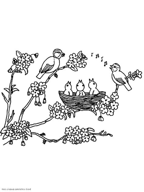 Plus, it's an easy way to celebrate each season or special holidays. Bird Nest On Blooming Flower Three Coloring Pages : Best ...