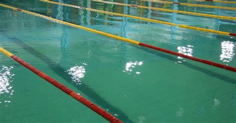 Swimmers Win Medals In India