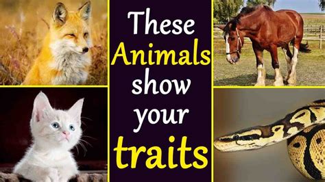Proteins form and important component of connective tissues and epidermal structures, cell membranes (regulatory role) and in dna packing. Zodiac Signs: Know about Animal that your Soul relates to ...