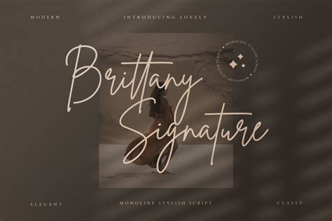 Buy Brittany Signature Modern Script Font Signature Font Wedding Font
