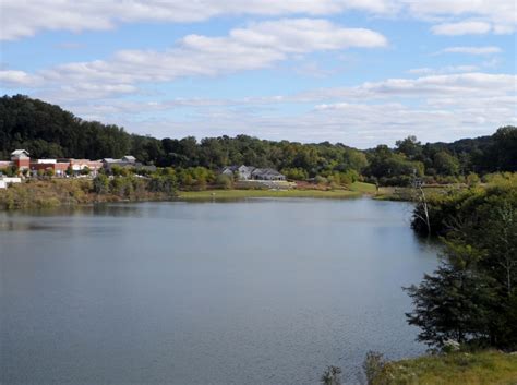 Quarry Lake At Greenspring Wildlife And Nature At Workand Beyond