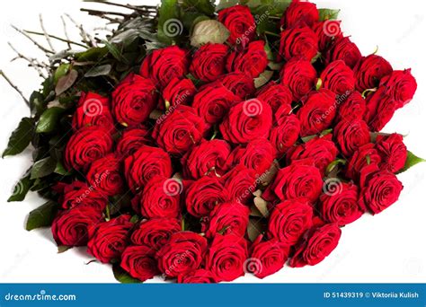 Muchas Rosas Rojas Imagen De Archivo Imagen De Travieso 51439319