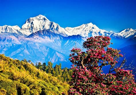 10 Best Places To Visit In Nepal With Photos Map Touropia Gambaran