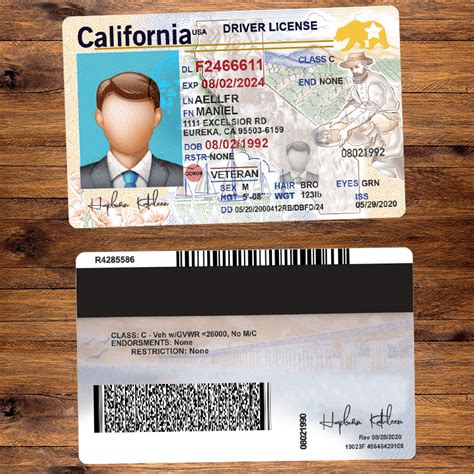 Drivers License Template