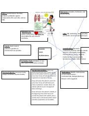 Lupus Concept Map Docx Risk Factors Genetics Hormones And