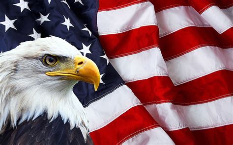 Hd Wallpaper American Flag And Bald Eagle Photo Symbols Of North