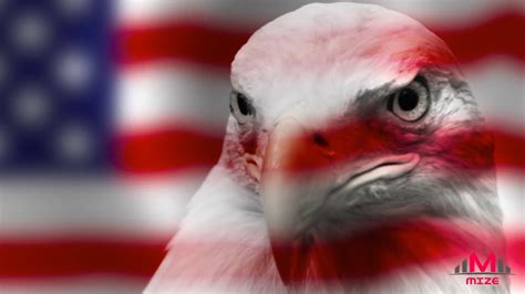 How Did The Bald Eagle Become Americas National Bird Youtube