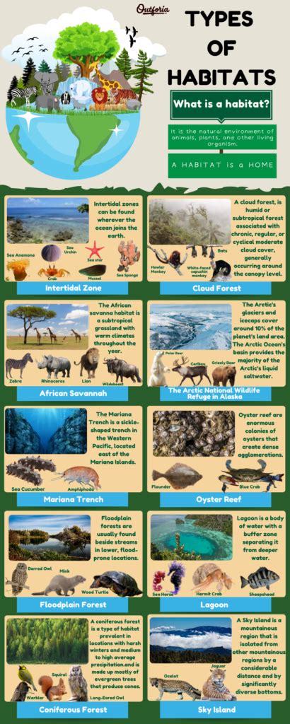 10 Types Of Habitats Around The World That Animals And Plants Call Home