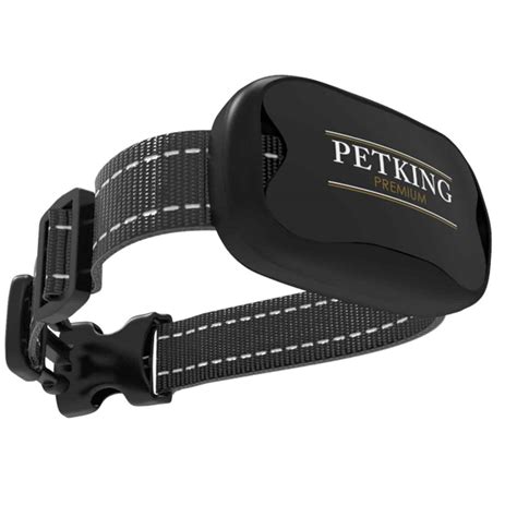 Best Anti Bark Collars For Your Dog Uk Guide 2022