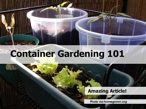 Container Gardening 101