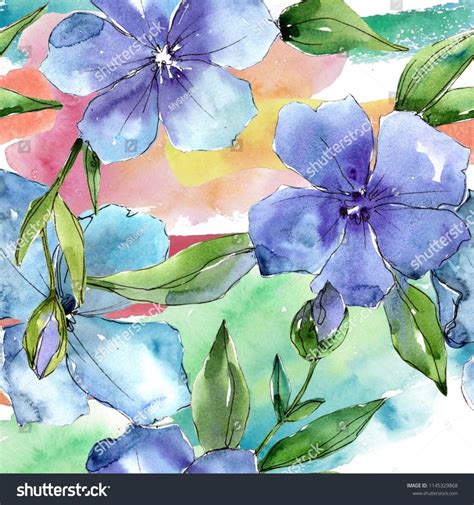 Watercolor Blue Flax Flower Floral Botanical Stock Illustration