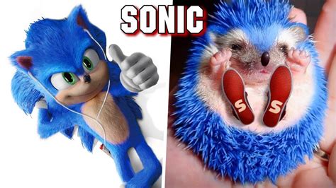 Sonic The Hedgehog Personagens Da Vida Real Youtube