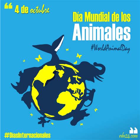 4 De Octubre Día Mundial De Los Animales Díasinternacionales Rdn24