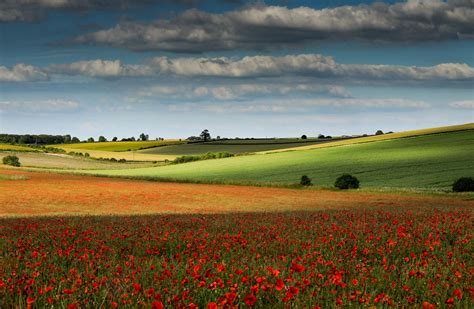 A broad, level, open expanse of land. Fields of Colour | Landscape 2019 Shortlist | British ...