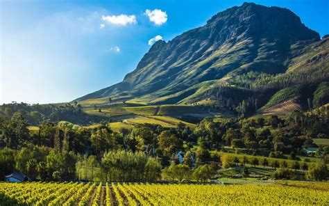 Cape Town Wine Tasting Day Tour Cape Winelands Private Tours