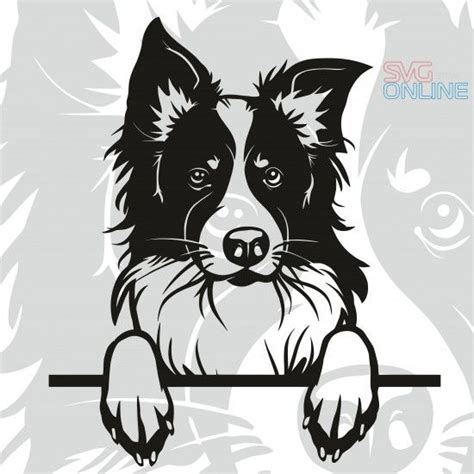 Border Collie Border Collie Art Dog Drawing Simple Dog Drawing