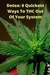 Can You Flush Marijuana Out Of Your System Photos