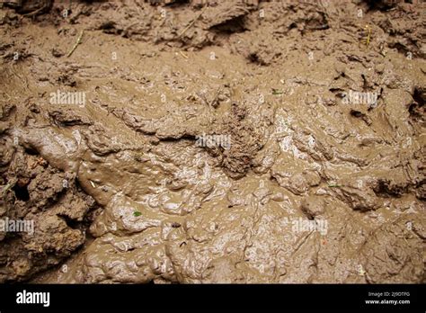 Wet Mud Texture Hi Res Stock Photography And Images Alamy