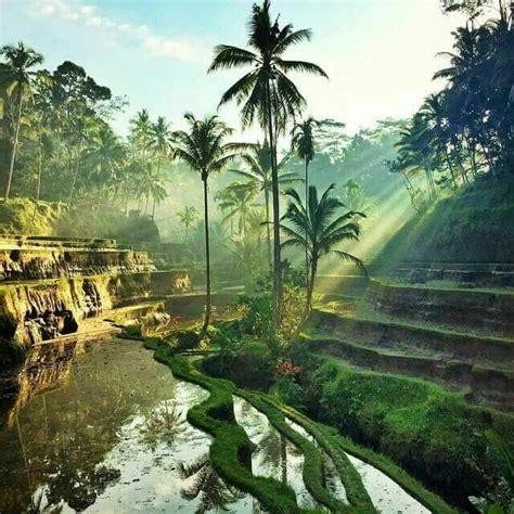 17 Best Images About Bali Rural Vistas On Pinterest Trekking Terrace