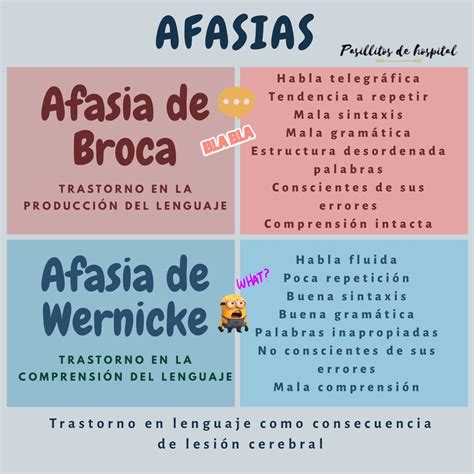 Principales características y diferencias entre afasia de Broca y afasia de Wernicke Estudios