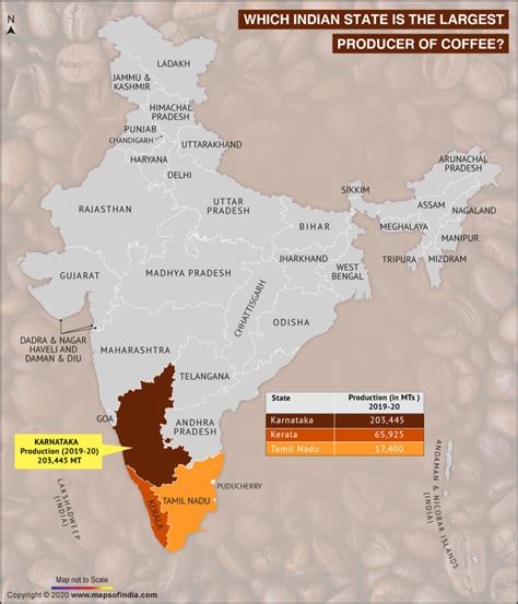 Which Indian State Is The Largest Producer Of Coffee