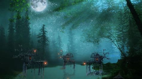 Night In Forest Wallpapers Wallpaper Cave