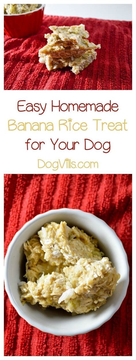 Chunks are soft and appealing to dogs. Homemade Banana Dog Treat Recipe Made in the Microwave ...