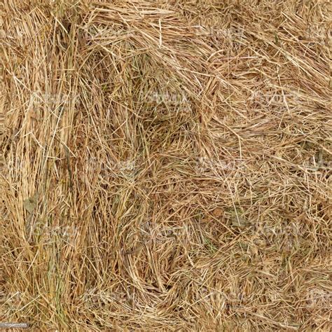 Seamless Texture Of Straw Texture In 4k Resolution Stock Photo
