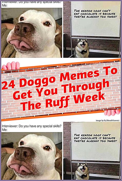 24 Doggo Memes To Get You Through The Ruff Week Artofit