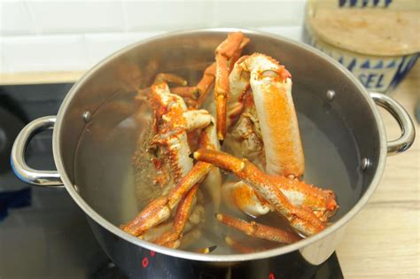 Comment Cuire Des Araignées De Mer Fr iTugas com