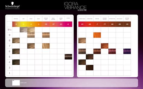Schwarzkopf Professional Igora Vibrance Gloss Tone Color Chart Hair Color Chart