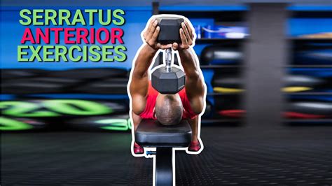 5 Easy Serratus Anterior Exercises For Scapular Protraction