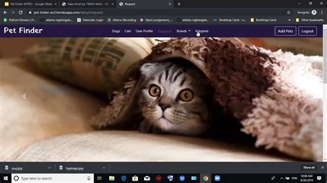 To help her study the subject of pet play she approaches the wisest mare she knows, and one she trusts as much as. PetFinder - A Web App for Pet Adoption | Software ...