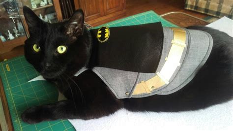 Batman Pet Costume By Battle Cat Armor Cosplay Etsy