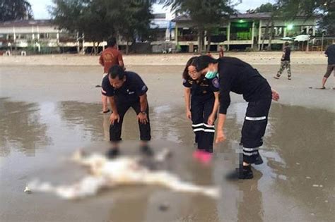 Thailand Murder Headless Body With English Tattoo Washed Up On Beach Daily Star