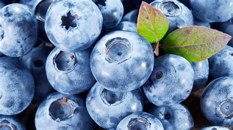 1920x1080 Blueberry Computer Background Coolwallpapersme