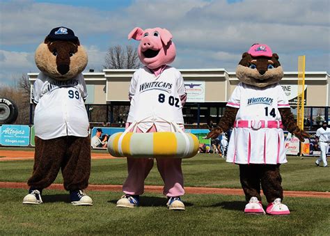 The West Michigan Whitecaps Are Hiring A New Mascot