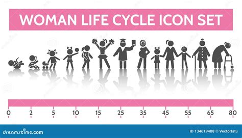 Woman Life Cycle From Infancy To Old Age Human Growth Process