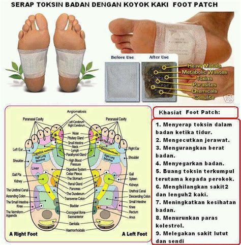 Toksin punca perut buncit, batu pahat. Produk Kecantikan & Kesihatan Wanita dan Lelaki: Buang ...