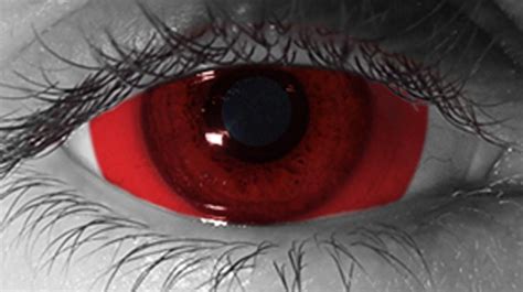 Red Sclera Halloween Contacts Halloween Contacts Color Contacts For