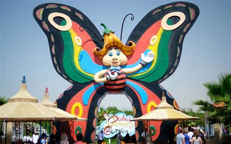 Dubai Butterfly Garden Things To Do How To Reach Best Time And Tips